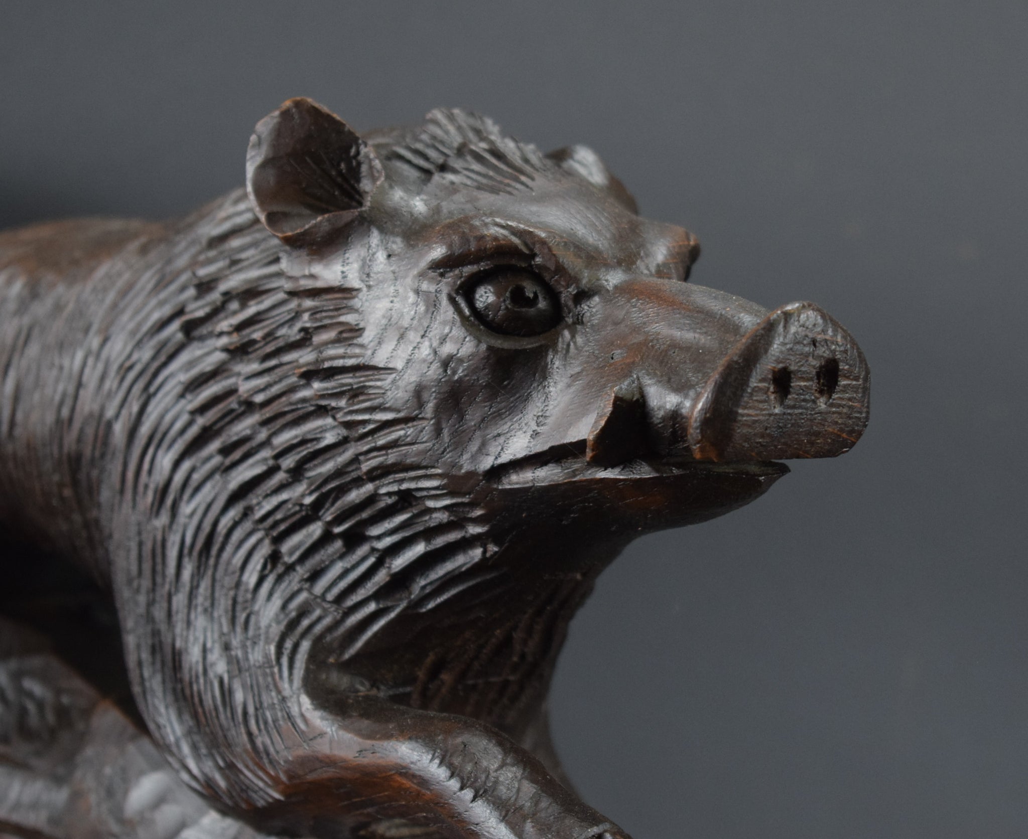 Black Forest Wild Boar Sculpture - Charmantiques
