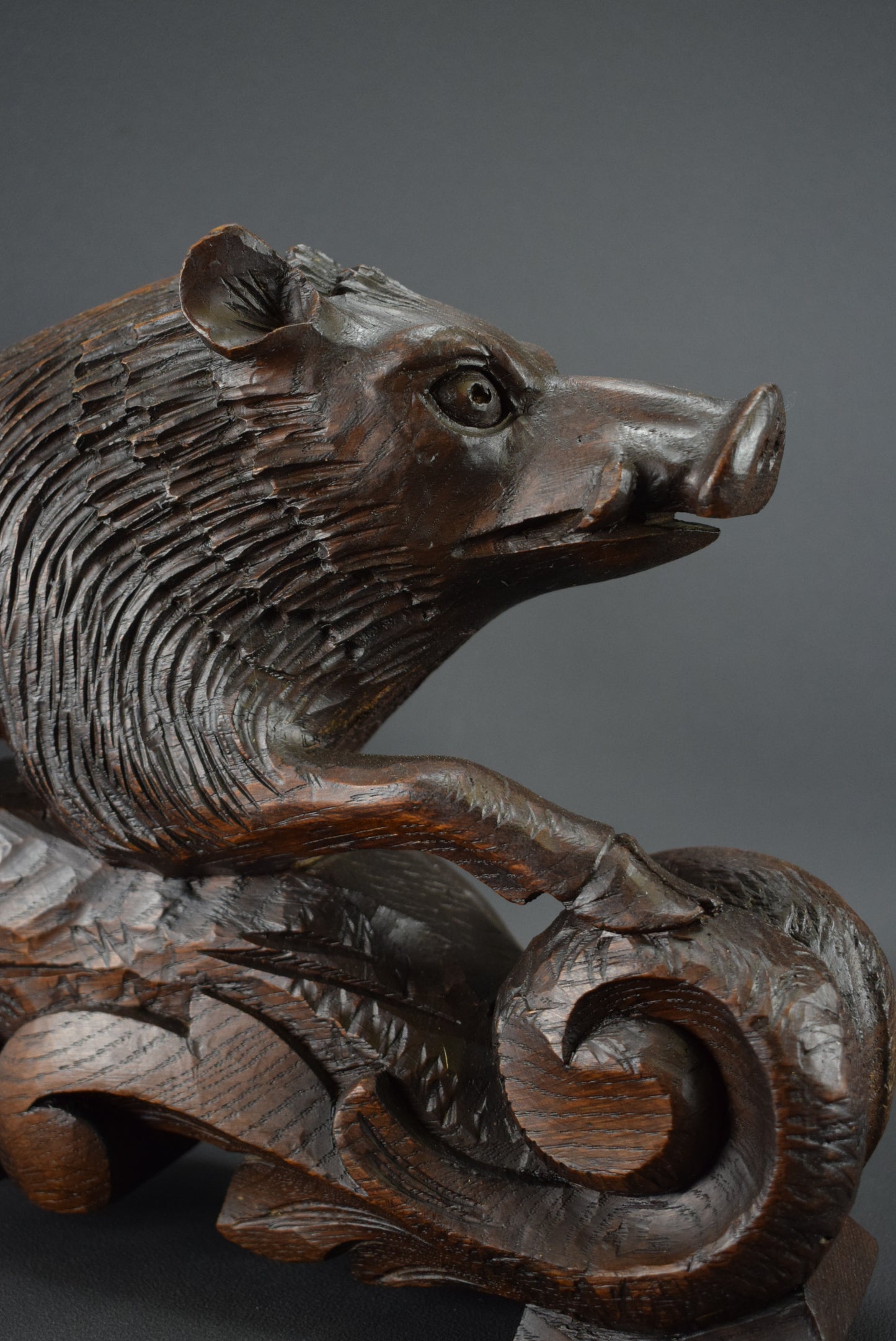 Black Forest Wild Boar Sculpture - Charmantiques