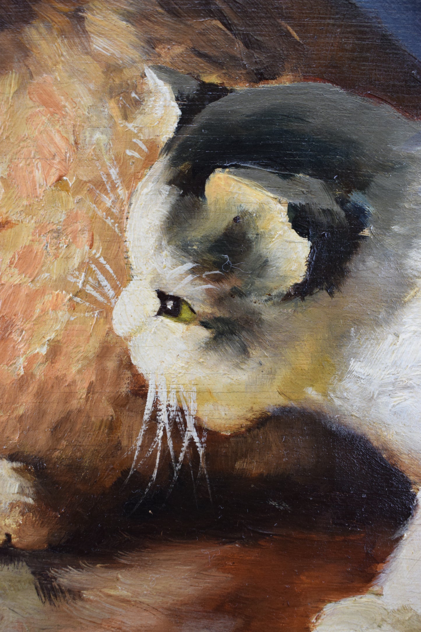 Peinture Huile Chaton sur Panneau Bois d'Après Léon Huber