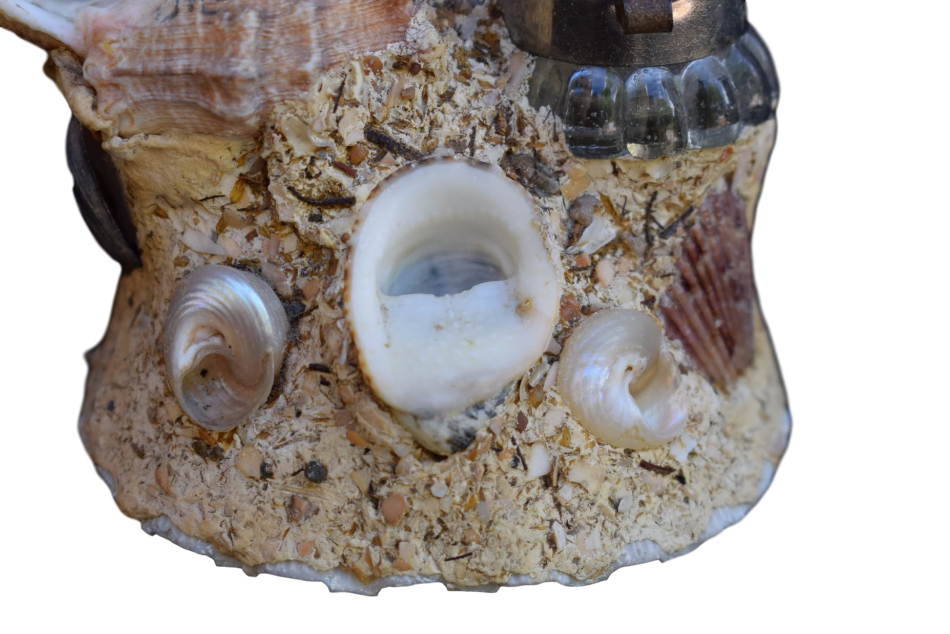 Seashell Inkwell - Charmantiques