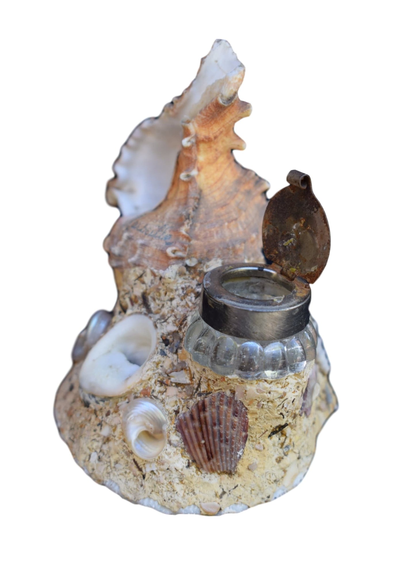 Seashell Inkwell - Charmantiques