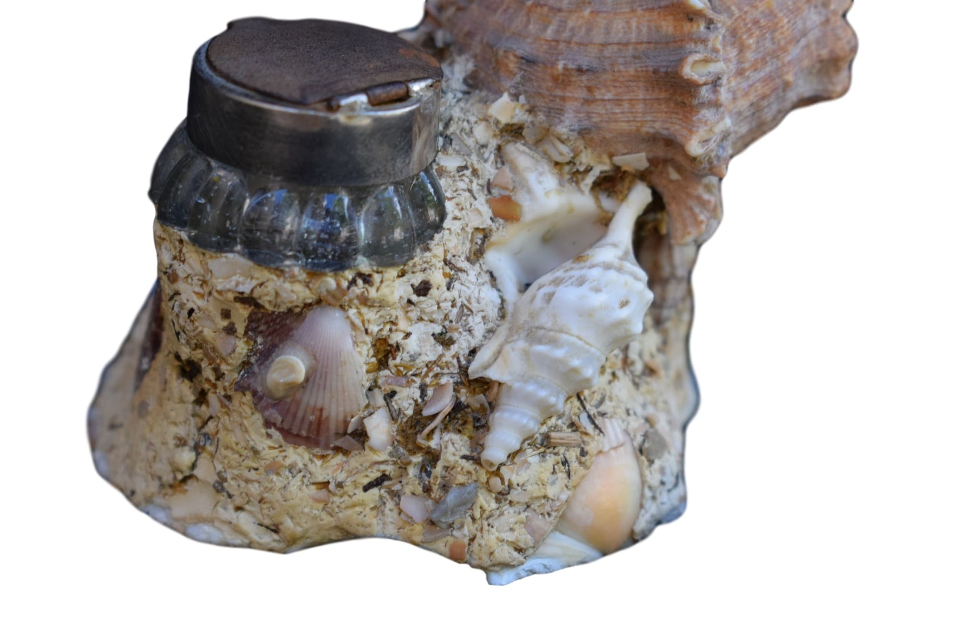 Seashell Inkwell - Charmantiques