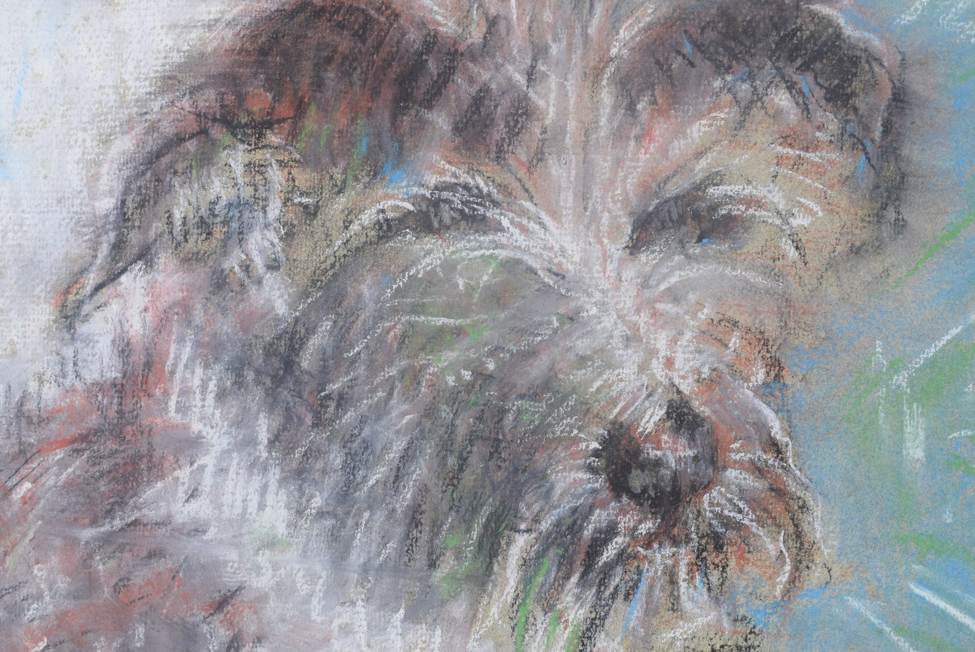 Peccadet Dog Portrait Drawing - Charmantiques