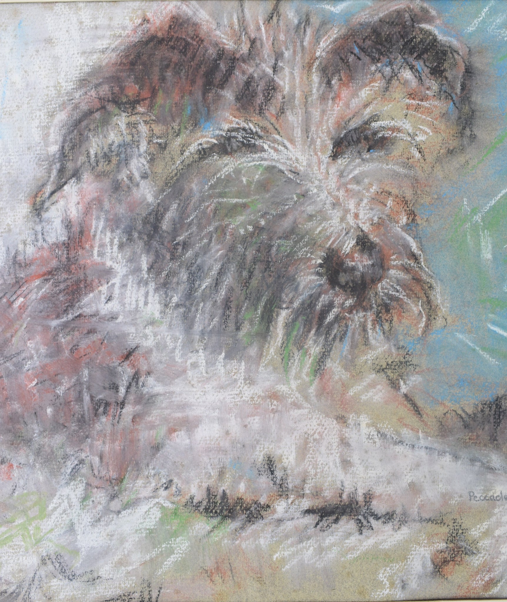 Peccadet Dog Portrait Drawing - Charmantiques