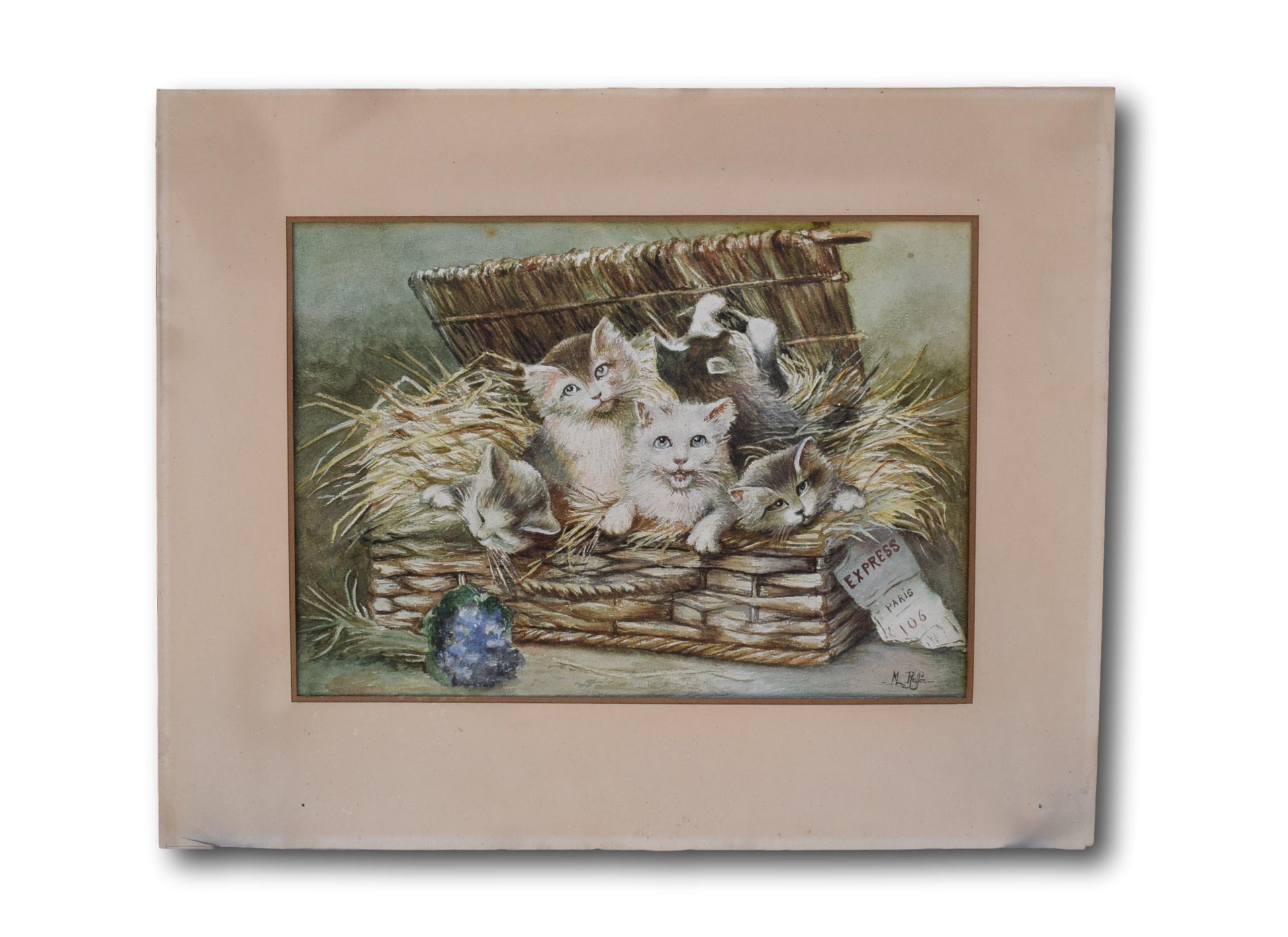 Kitten Watercolor - Charmantiques