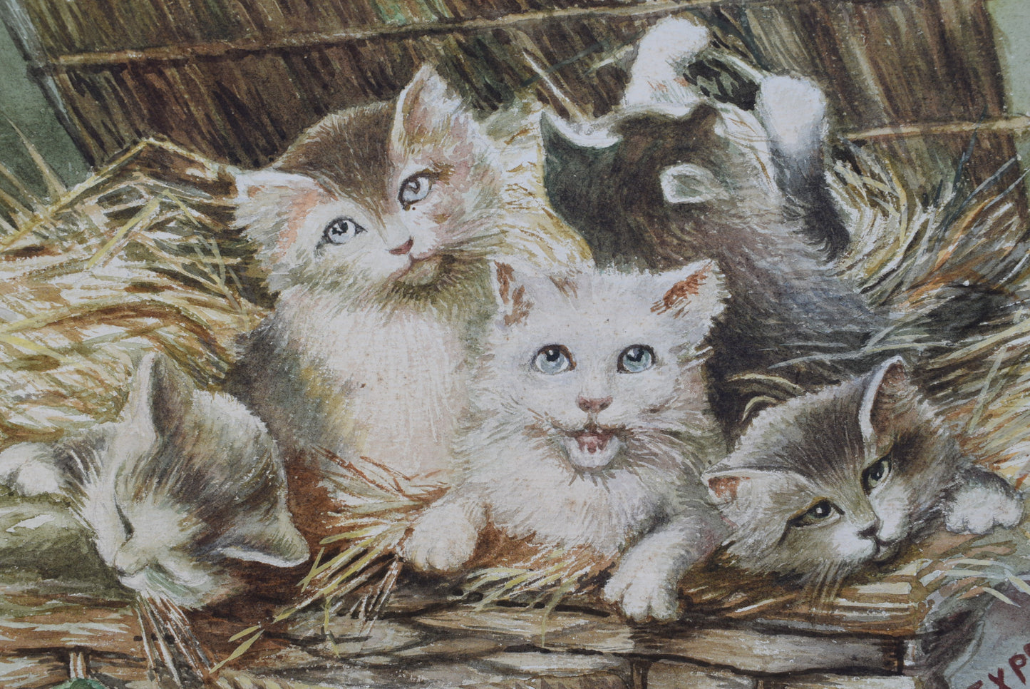 Kitten Watercolor - Charmantiques