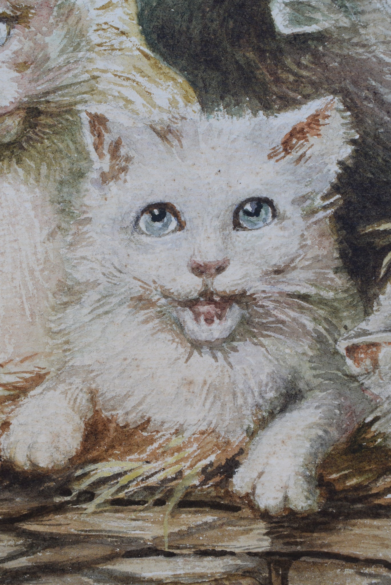 Kitten Watercolor - Charmantiques