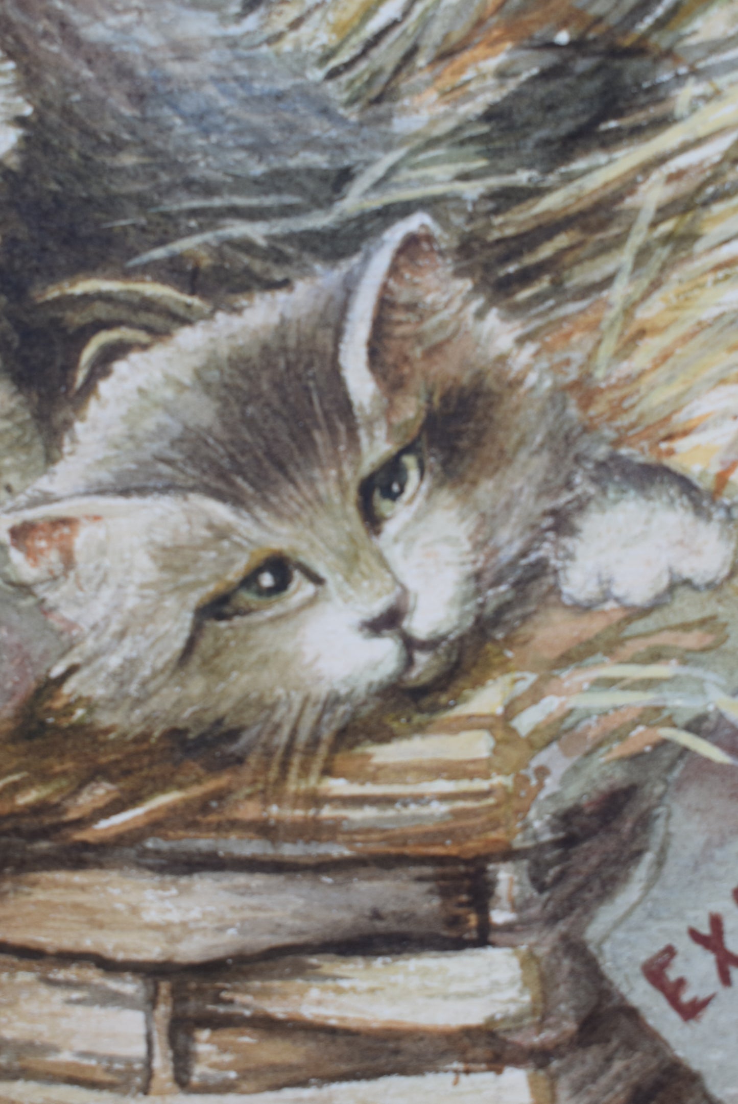 Kitten Watercolor - Charmantiques