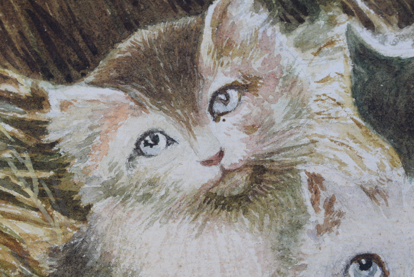 Kitten Watercolor - Charmantiques