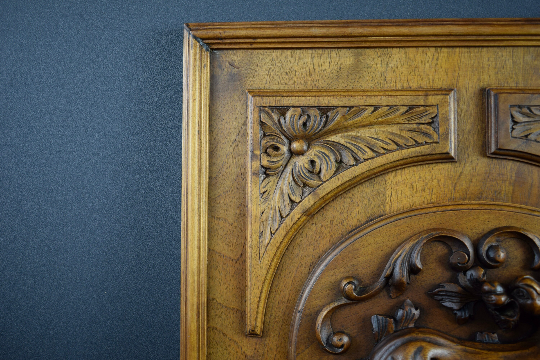 Carved Wood Wall Panel Frame Salamander Fontainebleau