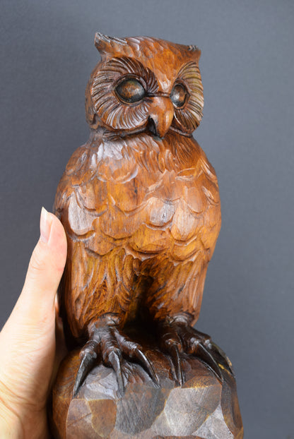 Black Forest Owl