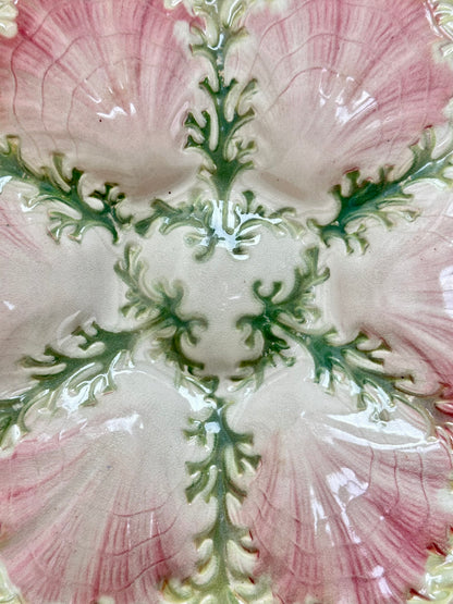 Majolica Oyster Plate Green Seaweed and Pink Shell Plate St Clement Keller Guerin